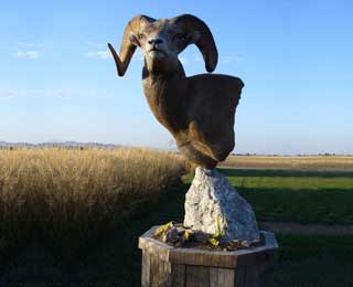 Bighorn pedestal - Brett