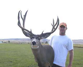 A 30-inch Colorado Mulie - Robert Prince