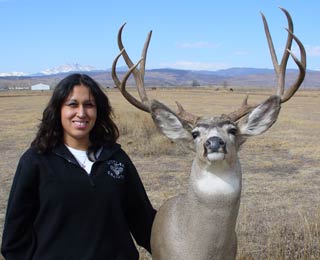 Bobbies Colorado Mule Deer