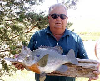 Awesome 15-inch Bluegill - Darrel Bearson