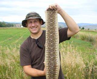 Texas rattle snake