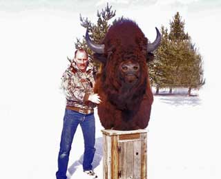 Huge Bison - Robert Coldwell