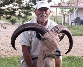 Aoudad - Pat
